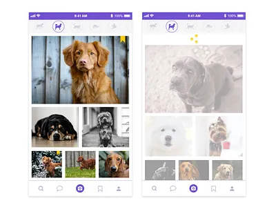 'Pull to refresh' concept for animal photo sharing app app ui xddailychallenge