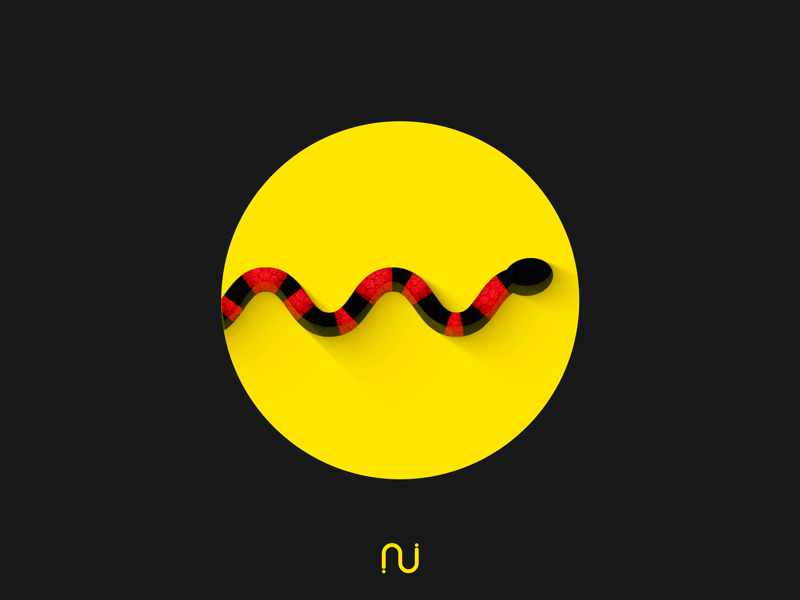 Animal Kingdom Day 1: The California Red Banded Kingsnake adobe aftereffects animation design flat gif gradient illustration motion particles snake