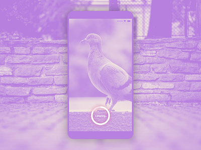 Lifelimitsart 033 / Bird song identifier app clean concept dailyui design flat idea material minimal minimalism mobile simple ui ux vector