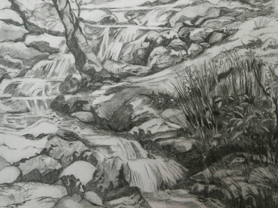 In A Meadow drawing graphite illustration art landscape meadow pencil