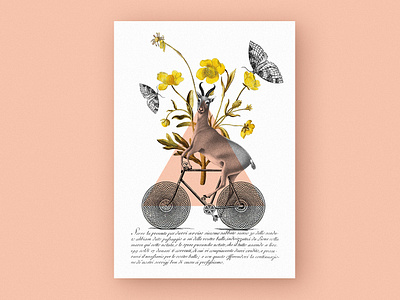 Antelope // Collage poster antelope bicycle butterfly collage collageart decoration design flowersposter graphic graphicdesgn illustration personalproject poster poster art poster collection print surrealism triangle