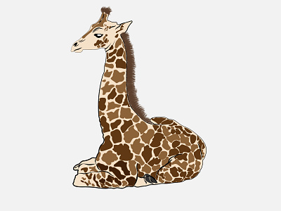 giraffe design illustration vector