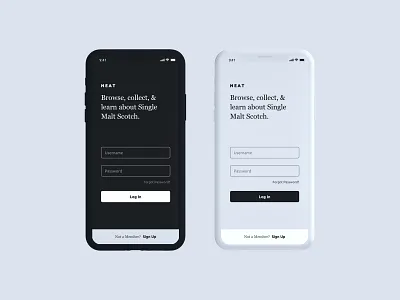 Dark or Light? app branding design flat interface mobile typography ui