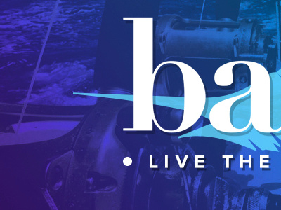 Badfish Co. Identity Teaser brand refresh identity design