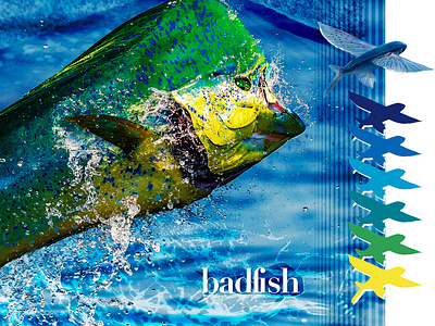 Badfish Co. Brand Book Gradient Color Selection No. 2 brand and identity brand refresh identity design