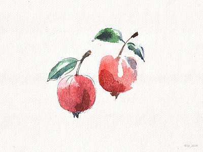 Two apple brush hand drawing illustration nature red water color