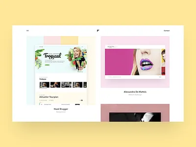Personal Portfolio Cases ui design clean minimal
