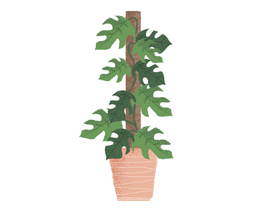 Swiss Cheese illustration plants