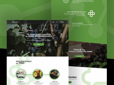 Landing Microbiome Community branding homepage design landing landing design landing page landing page concept sketch sketch app ui ux design wine