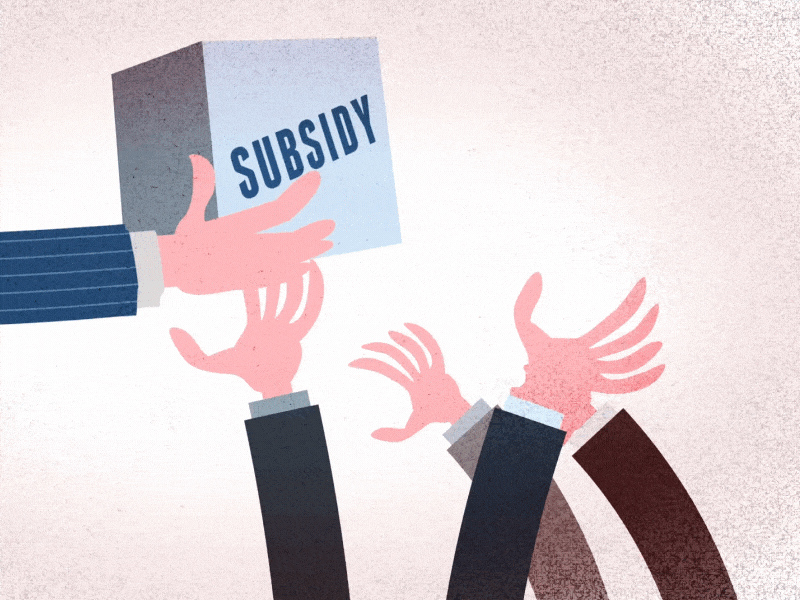 Subsidy animation government illustration motion graphics subsidy