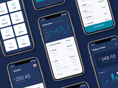 Money Saving iOs App analytics app clean dark design fireart fireart studio ios money product ui ux wallet