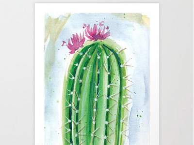 Prickly cactus art cactus flower flower illustration illustration nature painting watercolor