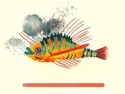 Fish adobe character design doodle fish illustration ocean vector