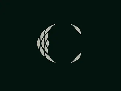 C design type typography