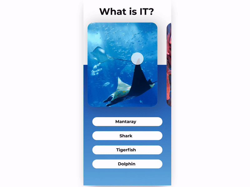 Multiple Choice App Game animation app branding clean color concept design flat graphic interface ios minimal simple ui ui ux uidesign userexperience ux ux ui vector