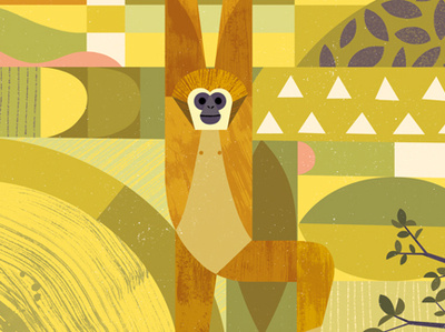 Gibbon animal illustration monkey rainforest