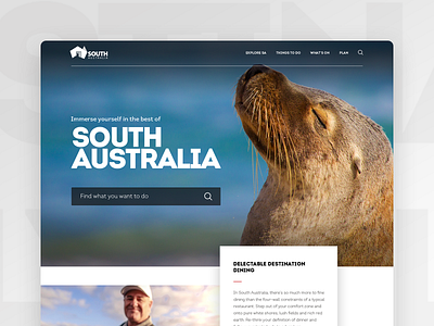 Tourism travel website clean tourism travel ui ux web design