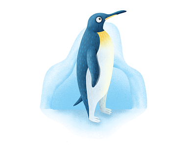 Penguin- (23/100 ) Daily Illustration Challenge illustration ipad penguin procreate