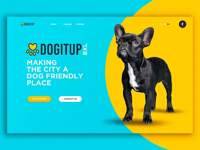 Dogitup blue design dog ui ux ux ui design web website yellow
