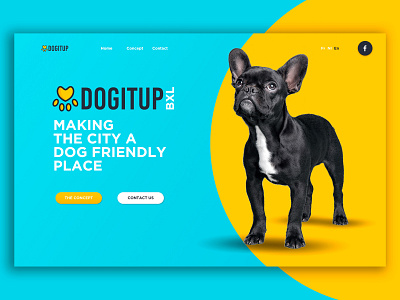 Dogitup blue design dog ui ux ux ui design web website yellow