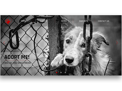 Animal shelter adoption animal design help icon logo main page shots ui web