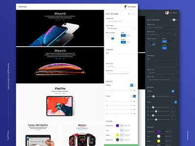 Options Panel admin panel design mamon options saas ui uidesign uikit ux ui design web