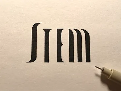 Stem: the main vertical stroke of a letter custom type handlettering ink stem type anatomy