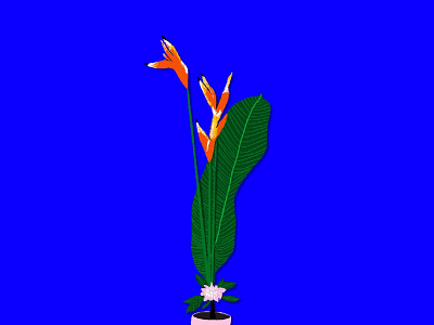 Ikebana