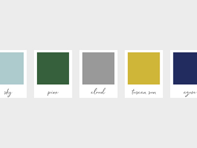 Forge Color Palette brand identity brand identity design branding color palette