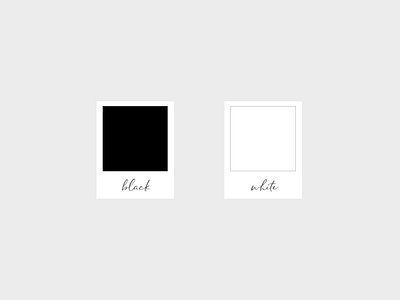 Joseph Southers Cleaning Color Palette black and white brand identity branding branding design color color palette