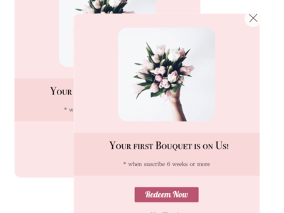 Redeem Coupon Design coupondesign dailyui dailyuichallange design flowerdeliverydesign flowershopdesign redeemcouponui ui design uidesign