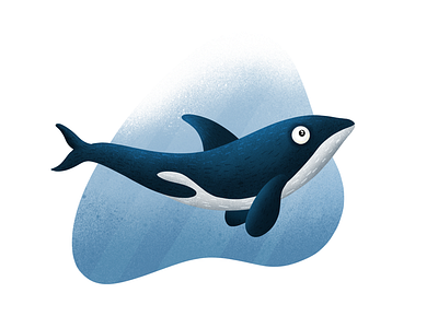 Killer whale- (24/100 ) Daily Illustration Challenge illustration ipad procreate whale