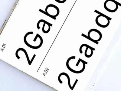 Font dilemma ... font typography whatfontis