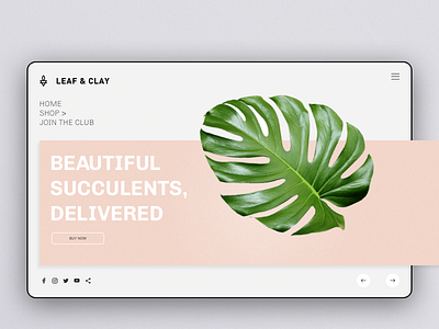 Leaf and Clay landing screen concept daily ui design floral grid layout leaf monstera oander off canvas ui ui ux design ux