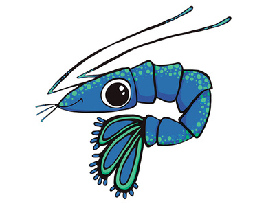 Petite crevette illustration kids kids kids art