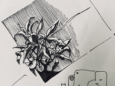 Random sketch artwork drawing flowers liner paper sketch