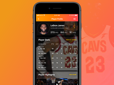 NBA Statistics Exploration app data design lebron mobile nba statistics ui ux