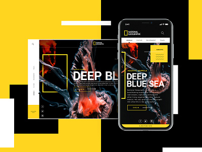 National Geographic Mobile Design Concept animals aquatic branding creative design graphic desgin mobile design mockup design national geographic typogaphy ui web web design