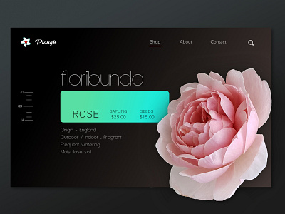 PLOUGH: e-commerce site for gardeners adobe app app design design ecommerce hd photograhy sketch ui ui ux design ux ux design visual design web app web app design web page design