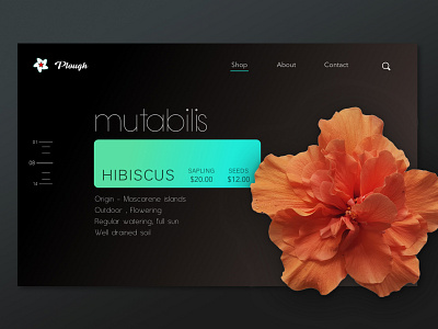 PLOUGH: e-commerce site for gardeners adobe app design ecommerce hd photograhy sketch ui ux ux design visual design web app web app design web page design