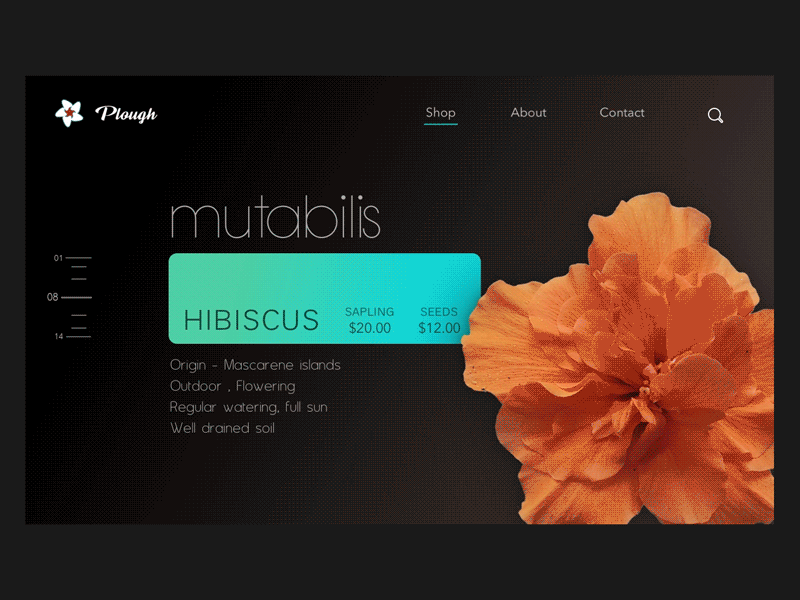PLOUGH: e-commerce site for gardeners adobe animation app app design design ecommerce photograhy principle sketch ui ux ux design visual design web app web app design web page design