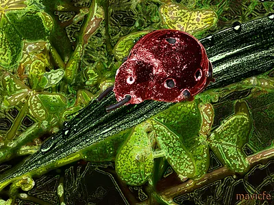 Ladybug Project 2 color composition crafts digital art garden graphic art graphic design green illustration ladybug leaves mavicfe nature painting photography photoshop
