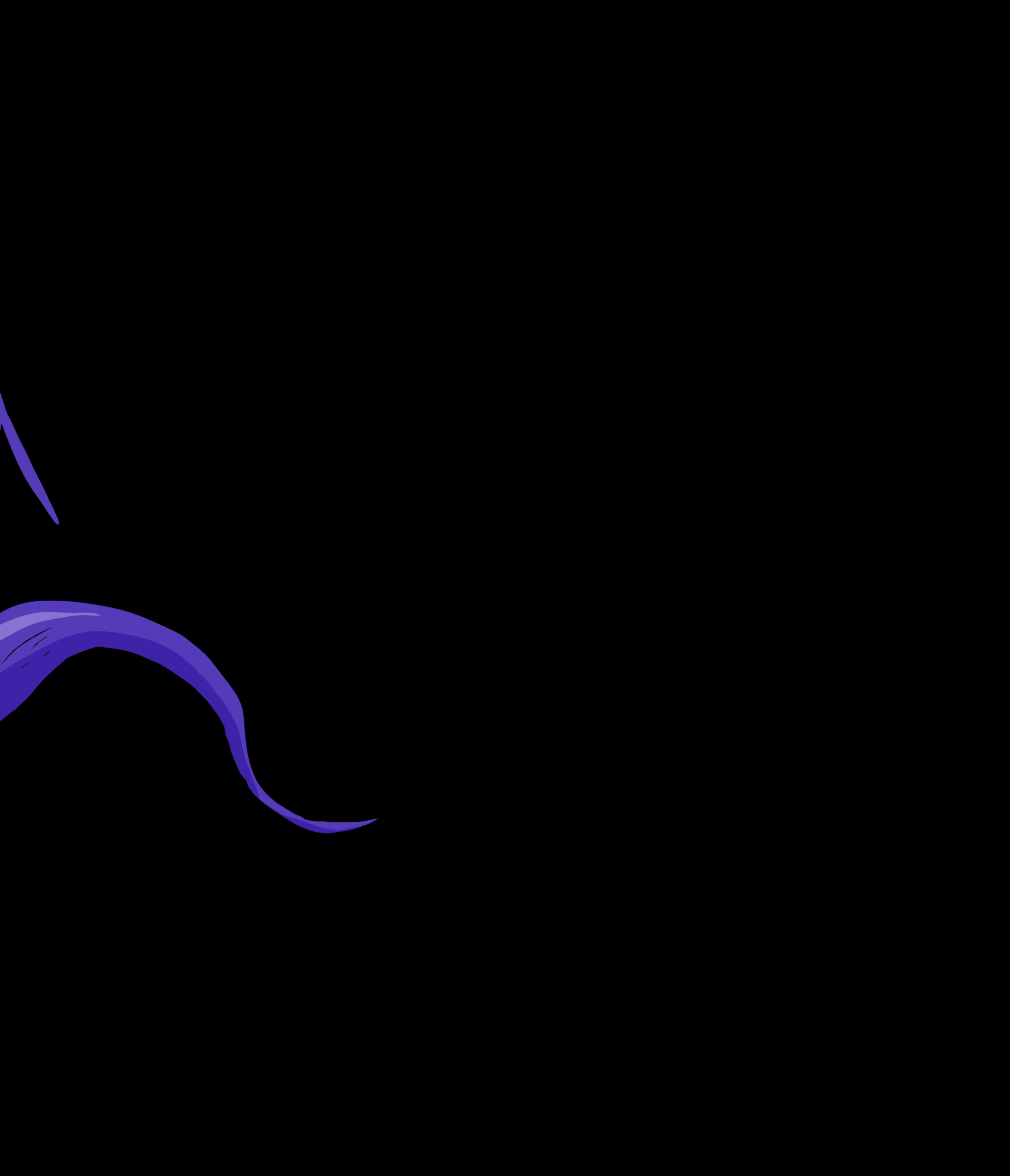 Example of Digital Marketing   Motion Graphics