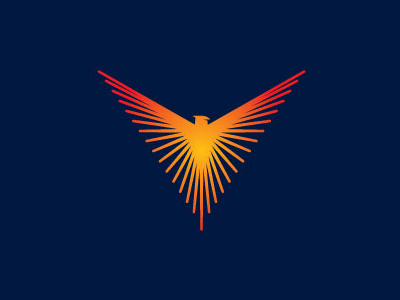 Phoenix bird bird logo design illustration logo logos vector