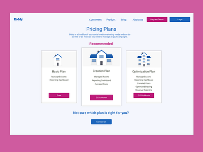 Biddy Pricing Page design pricing page ux webdeisgn