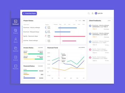 Freelance Designer Dashboard (3-day Challenge) dashboad data visulization design freelance designer ui web