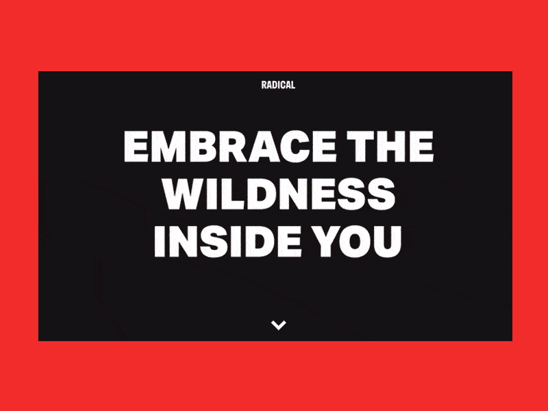 E-Commerce Apparel Showcase animation apparel bold clothes dark design ecommerce interactive minimal pakistan radical scroll shop ui web