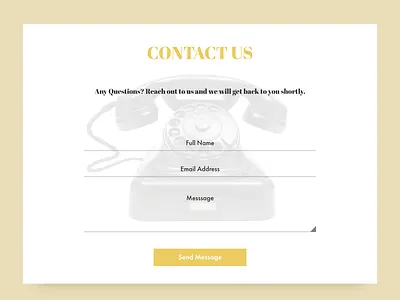 Daily UI 028 Contact Us contact contactus dailyui dailyui028 ui uidesign ux uxdesign web webdesign