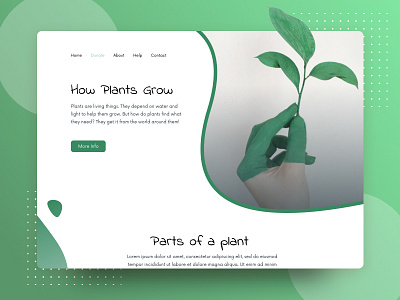 How Plants Grow