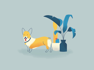 Corgi blue and yellow cactus corgi corgis corgo dog dog illustration lines plants